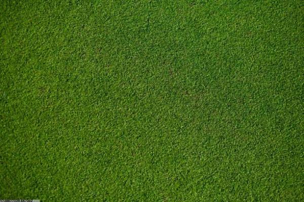 河流上的体育项目叫什么？