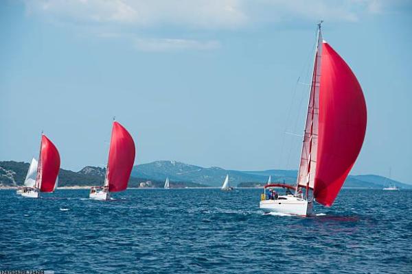 欧美儿童体育项目的创新与设计理念