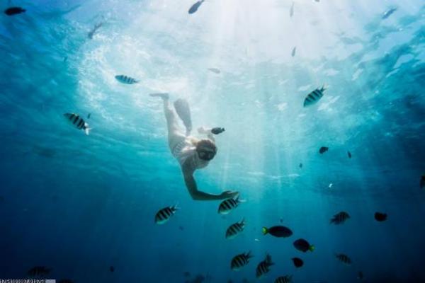 中考体育中长跑项目取消了吗？