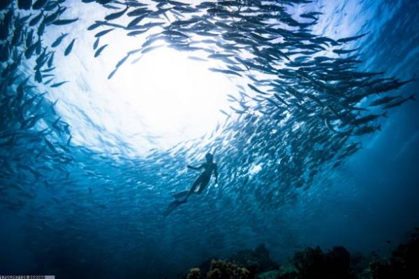 大庆体育培训机构覆盖范围与专业方向